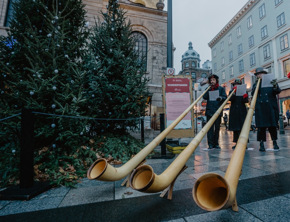 Musical Performance - The Alphorns